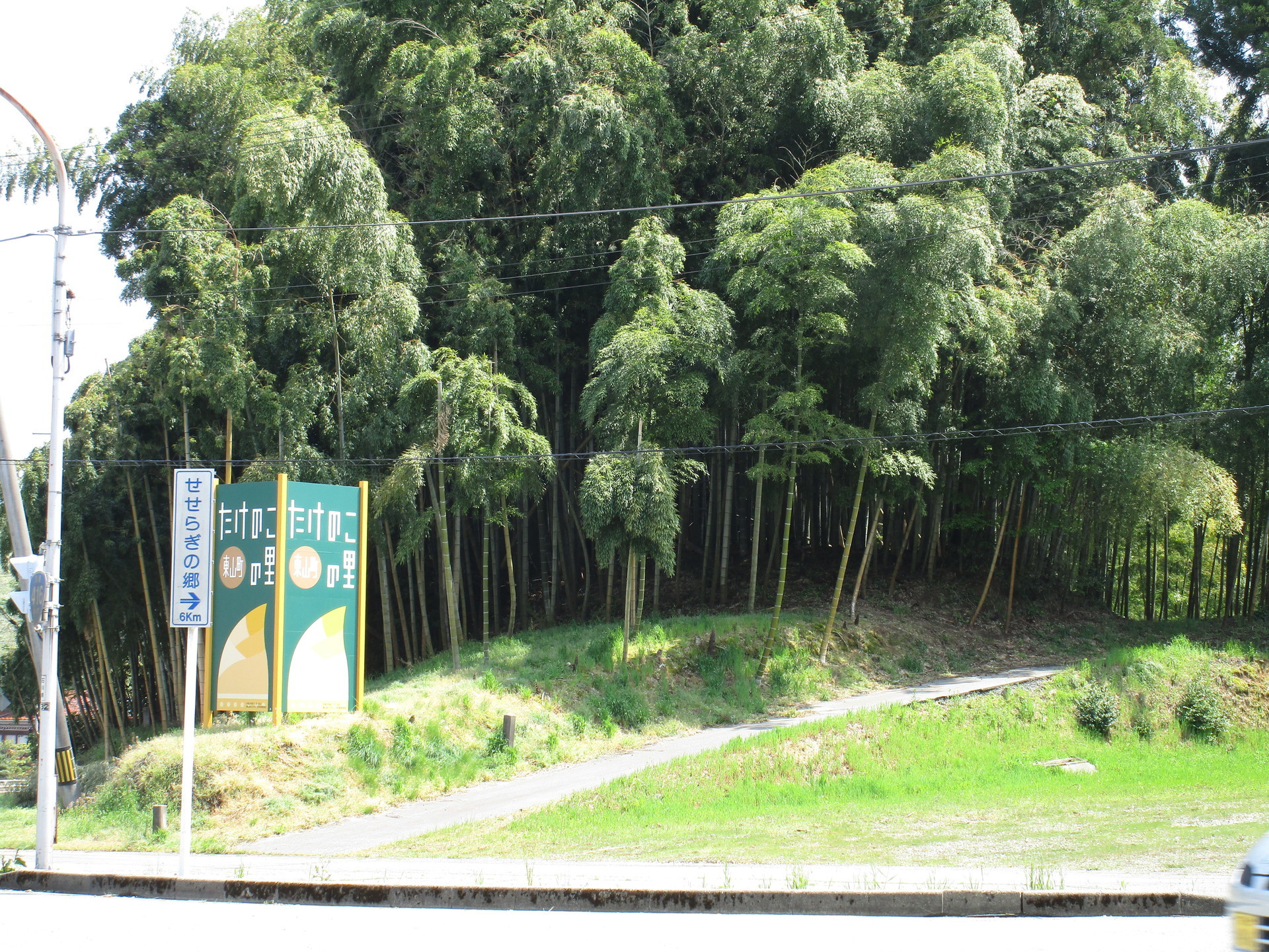 竹林の有効活用 たけのこの里 石川県小松市東山町の取り組み 莇生 の研究