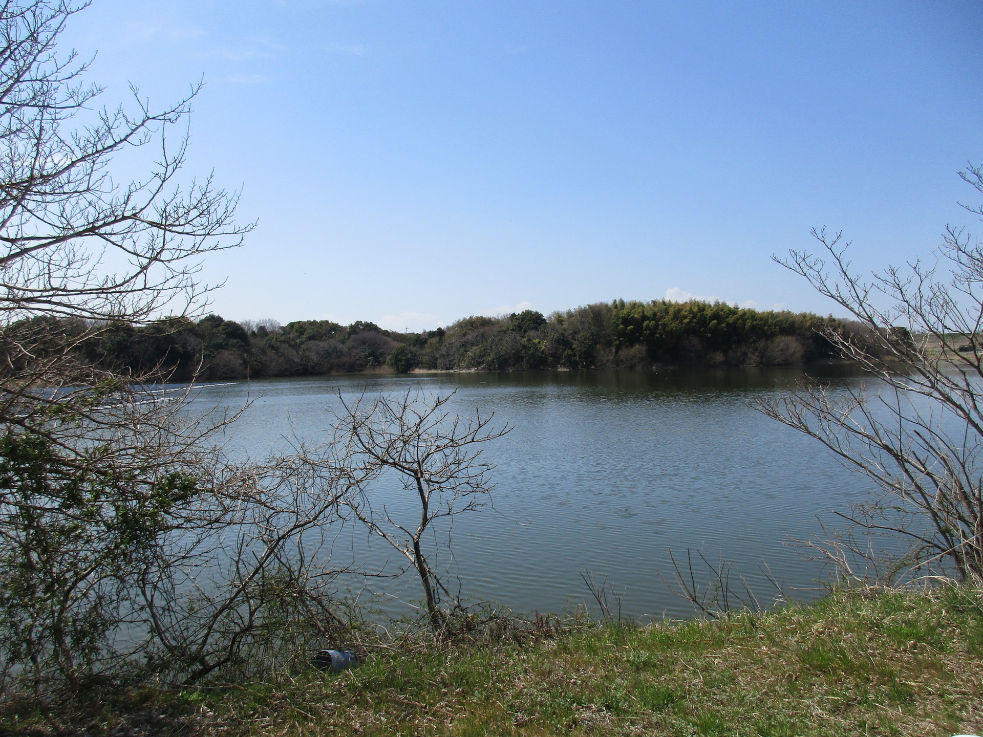豊明市若王子池はすごい 自動車王国 愛知県のため池で行われる水上太陽光発電の意義 莇生 の研究